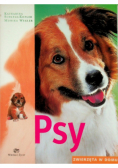 Psy