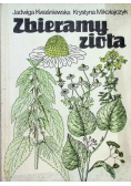 Zbieramy zioła