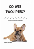 Co wie Twój pies?