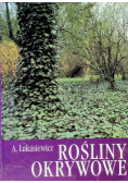 Rośliny okrywowe