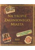 Na tropie zaginionego miasta