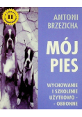 Mój pies