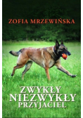 Zwykły niezwykły przyjaciel