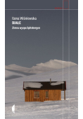 Biał Zimna wyspa Spitsbergen
