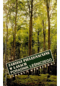 Zabiegi pielęgnacyjne w lasach poradnik leśniczego
