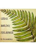 Leśne rośliny zielarskie