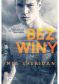 Bez winy
