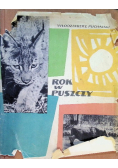 Rok w puszczy