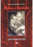 Pole magnetyczne