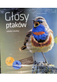 Głosy ptaków Tom I i II