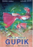 Pawie oczko gupik