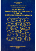 Gospodarka samorządów terytorialnych w świetle doświadczeń amerykańskich