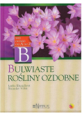 Bulwiate Rośliny Ozdobne