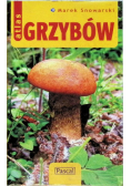 Atlas grzybów