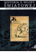 Historia II wojny światowej polskie państwo podziemne