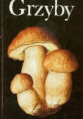 Grzyby