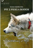 Psy z piekła rodem. Odwiedziny w raju