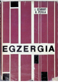 Egzergia