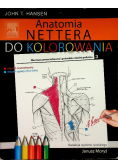 Anatomia Nettera do kolorowania