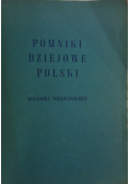 Pomniki dziejowe Polski roczniki wielkopolskie Seria II Tom VI