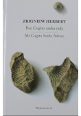 Pan Cogito szuka rady