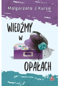 Wiedźmy w opałach