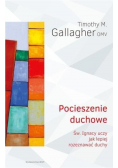 Pocieszenie duchowe