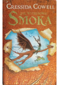Jak wytresować smoka