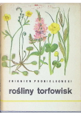 Rośliny Torfowisk