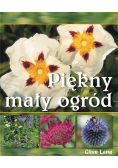 Piękny mały ogród