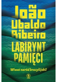 Labirynt pamięci