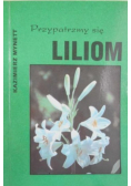 Przypatrzmy się Liliom
