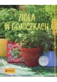 Zioła w doniczkach