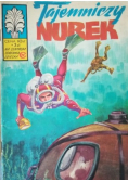 Tajemniczy Nurek