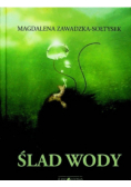 Ślad wody
