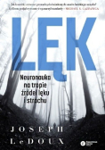 Lęk Neuronauka na tropie źródeł lęku i strachu