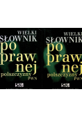 Wielki słownik poprawnej polszczyzny Tom I i II