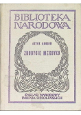 Zdobycie Meksyku
