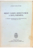 Między saskimi absolutyzmem a złotą wolnością