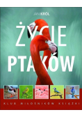 Życie ptaków