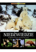 Niedźwiedzie od łagodnej pandy do nieustraszonego grizzly