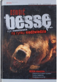Oswoić bessę czyli inwestowanie na rynku niedźwiedzia