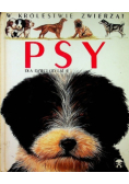 W królestwie zwierząt psy