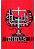 Ilustrowana Biblia młodych