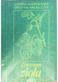 Zbieramy zioła