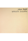 Kwiaty Zalipia