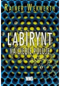 Labirynt na ciebie poluje