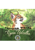 Przygoda wielka Rysia Pędzelka