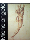 Michelangelo