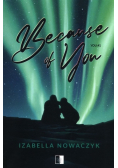Because of You